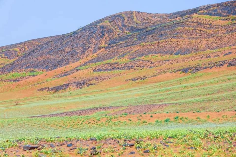 Auberge Dinosaur Kem Kem Hotel Tafraoute Sidi Ali Exterior foto