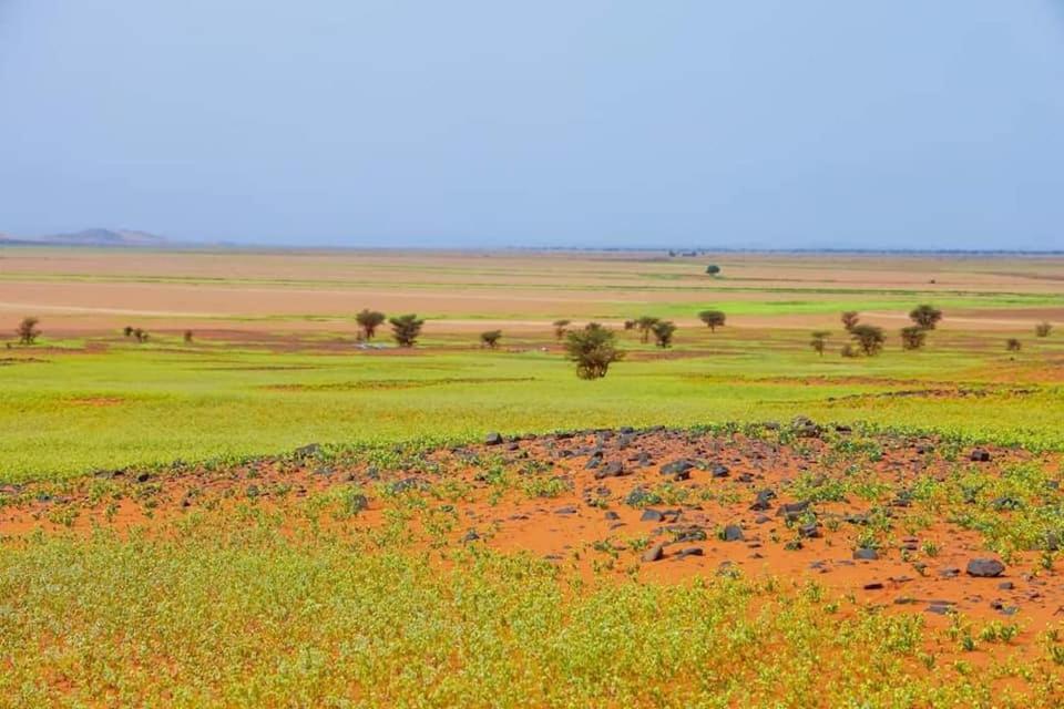 Auberge Dinosaur Kem Kem Hotel Tafraoute Sidi Ali Exterior foto